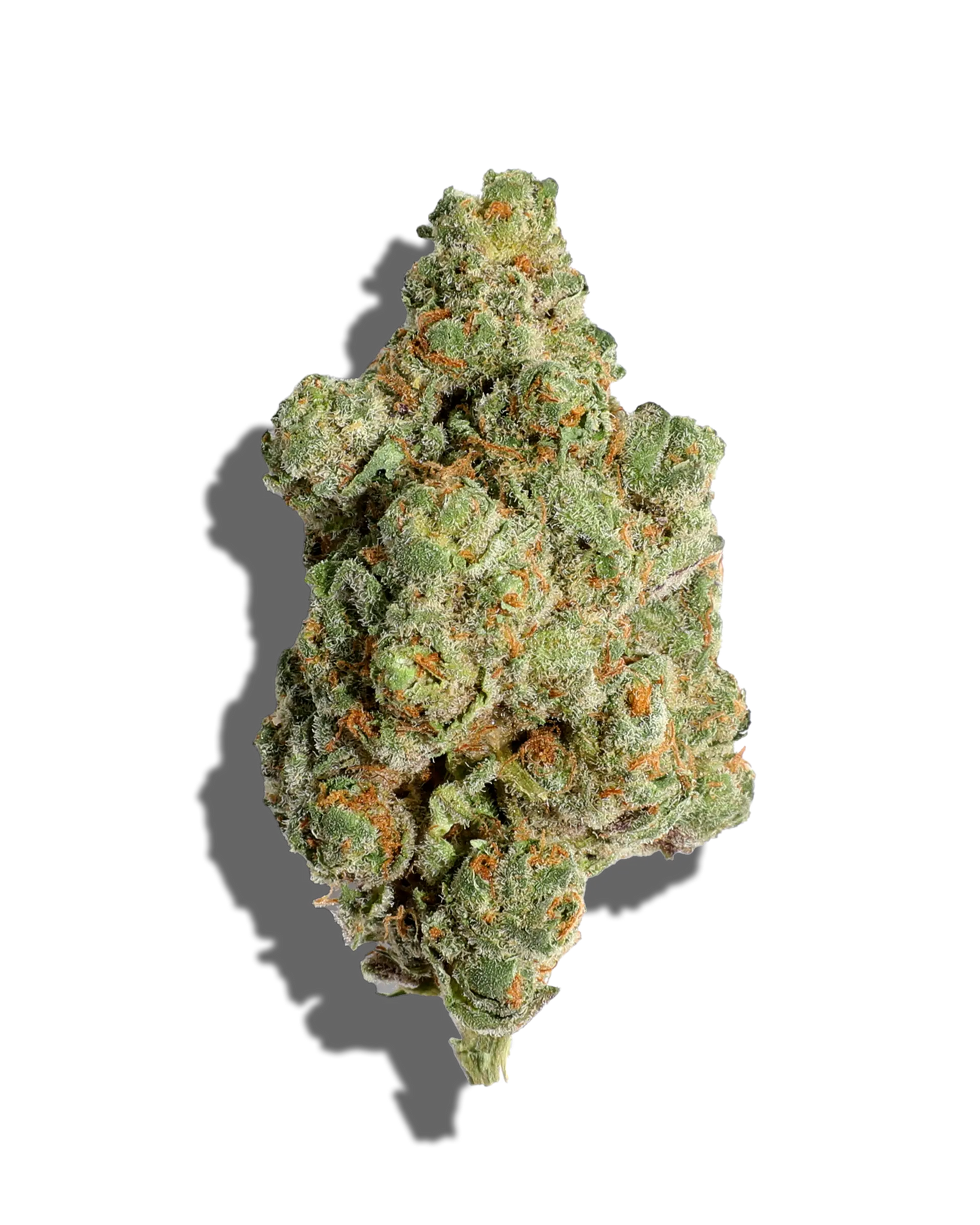 Super Lemon Cherry